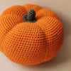 

Citrouille - Jouet au crochet
3