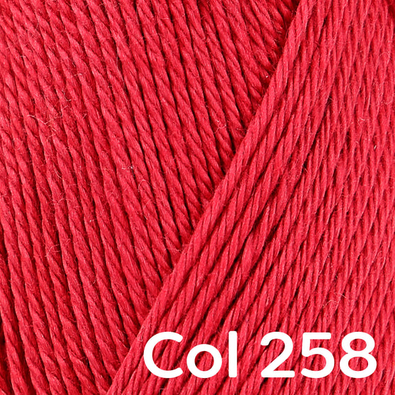 

Catania - Schachenmayr
47