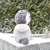 

Pippo le pingouin
3