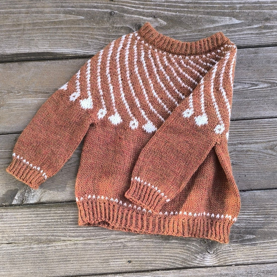 

Shooting Star - Children’s Sweater
2