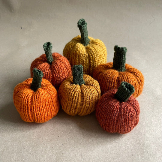 Mini-citrouilles - Petites courges de décoration