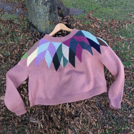 

Intarsia - Pull
1