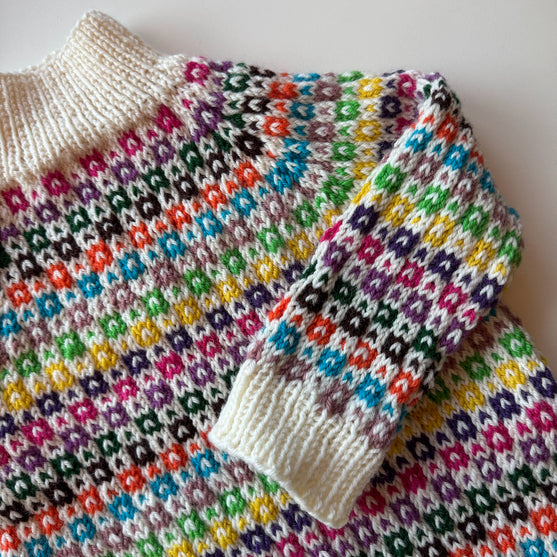

Easy Colour Sweater Junior
4