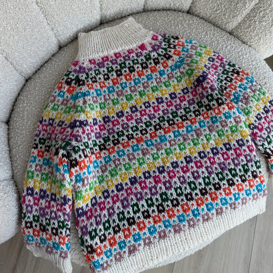 

Easy Colour Sweater Junior
1