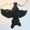 

Bernard Chauve-souris
4