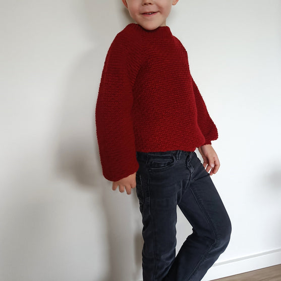 

Hektor’s Sweater - Children’s Sweater
6