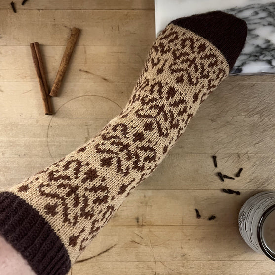 

Cinnamon Spice - Chaussettes
4
