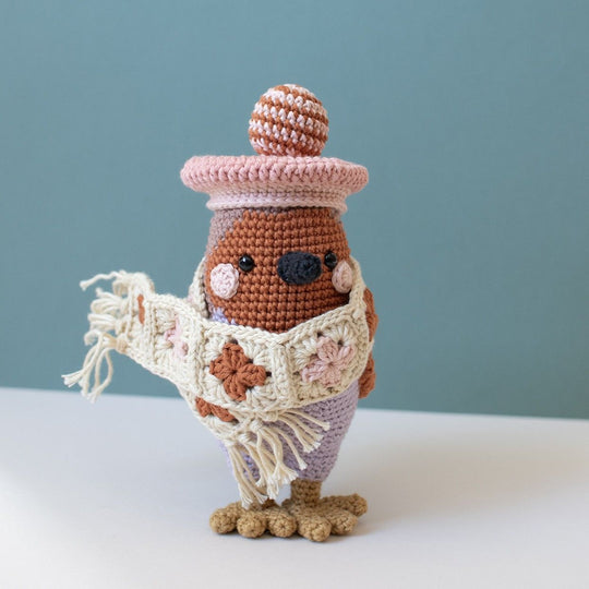 3e dimanche de l'Avent - Amigurumi - Grayson Robin