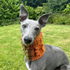 

Doggy Bobble - Snood
1