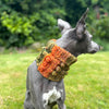 

Doggy Bobble - Snood
3