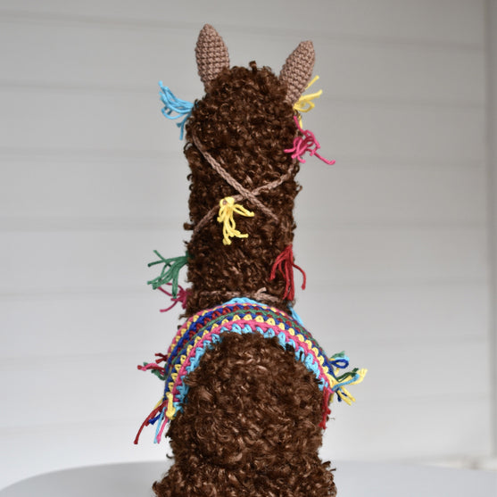 

Pico the Alpaca
9