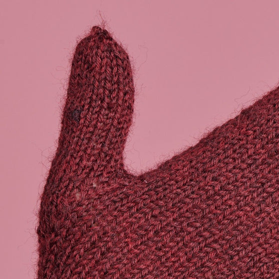 

Festuca Mittens
3