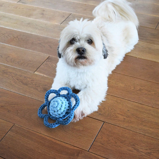 

Fleur – Jouet pour chien
1