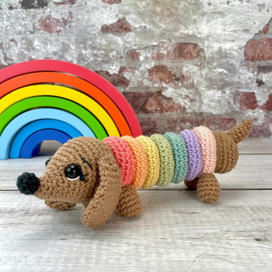 Ringo the Rainbow Dog