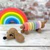 

Ringo the Rainbow Dog
5