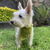 

Cuddly Wrap - Bandana pour Chien
4