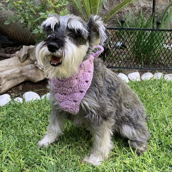 

Cuddly Wrap - Bandana pour Chien
1