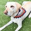 

Lola’s Bandana - Dog Bandana
5