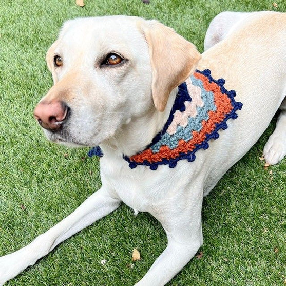 

Lola’s Bandana - Dog Bandana
5
