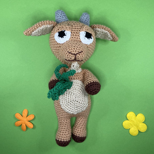 Capricornus - Zodiac Sign