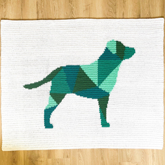 

Labrador - Blanket
2