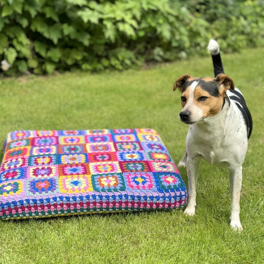 Kafka’s Dog Bed