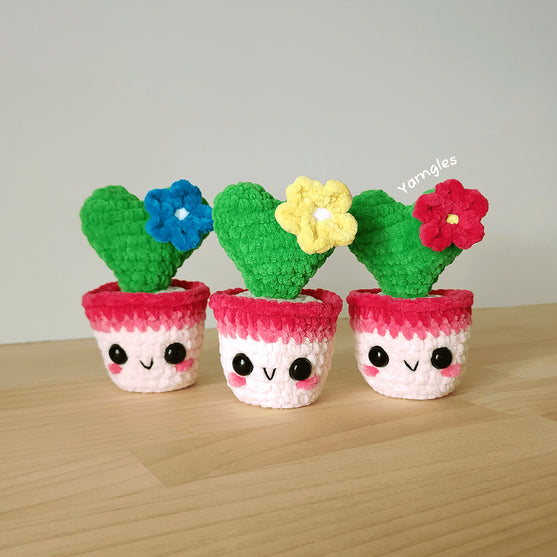 

Lia The Tiny Heart Cactus
4