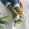 

Mimidae - Socks
5