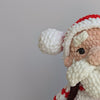 

Cuddly Santa
5