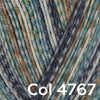 

Regia 4-ply Color - Regia
37
