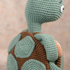 

Theo the Turtle
4