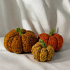 

Citrouilles Tweedy
2